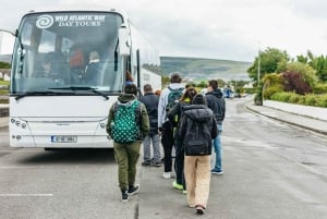 Da Galway: tour guidato di un'intera giornata alle Scogliere di Moher e al Burren