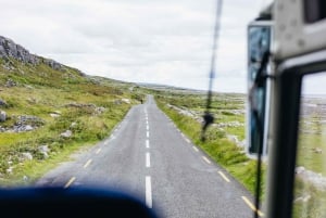 Au départ de Galway : Excursion guidée d'une journée aux falaises de Moher et au Burren