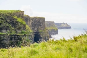 Fra Galway: Guidet heldagstur til Cliffs of Moher og Burren