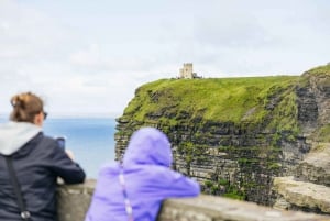 De Galway: excursão guiada de dia inteiro pelas falésias de Moher e Burren