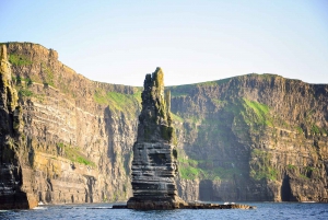 From Galway: Full-Day Cliffs of Moher & Burren Tour