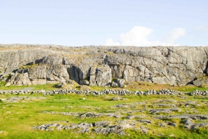Z Galway: Klify Moheru i Burren – wycieczka całodniowa