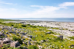 Galway: Moherin ja Burrenin upeat kalliot.