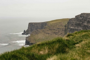 Från Galway: Cliffs of Moher och Burren på hel dags utflykt