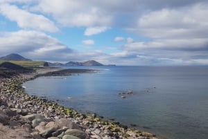 De Killarney: Excursão de 1 Dia pela Estrada Ring of Kerry