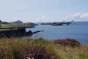 De Killarney: excursion d'une journée en bus sur la route de montagne 'Ring of Kerry'