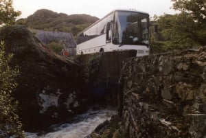 Van Killarney: 1-daagse bustour 'Ring of Kerry' Mountain Road