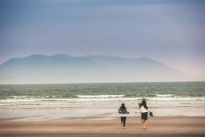 Au départ de Killarney : La côte sauvage de la péninsule de Dingle et Slea Head