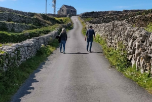 Galway : Croisière commentée sur les falaises, visite des îles d'Aran et du Connemara