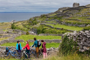 Galway : Croisière commentée sur les falaises, visite des îles d'Aran et du Connemara