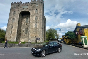 Galway: Cliffs of Moher Cruise, Bunratty Castle & Folk Park