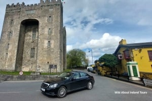 Galway: Crociera sulle scogliere di Moher, Castello di Bunratty e Parco Folkloristico