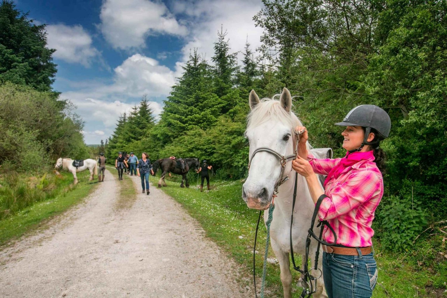 Horse riding the dirt trail. Clare. Guided. 1 hour