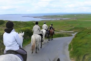 Ridning på jordstien. Clare. Med guide. 1 time