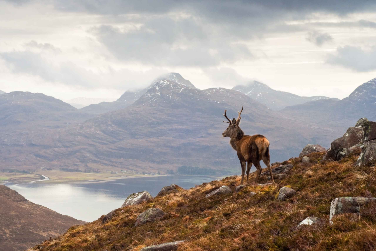 Inverness : Journée Applecross, Loch Carron et Wild Highlands