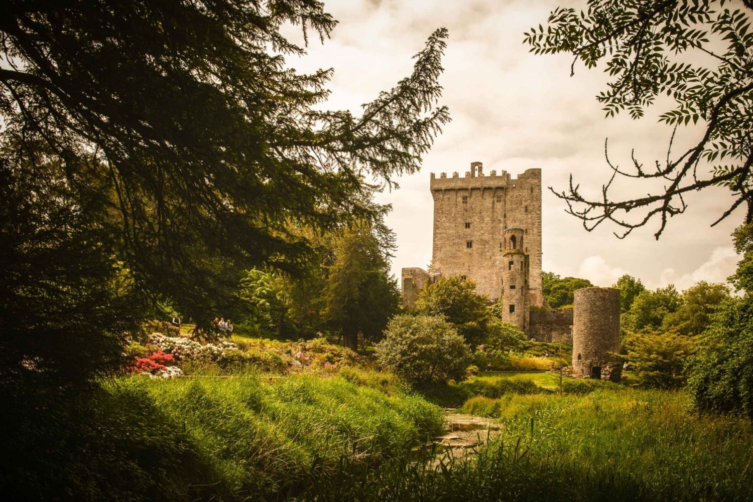 Irland: Blarney Castle, Kilkenny & Irish Whiskey 3-dages tur