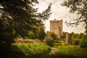 Ireland: Blarney Castle, Kilkenny & Irish Whiskey 3-Day Tour