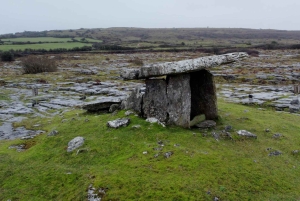 Kilfenora: Burren small group E-Bike Tour with Guide