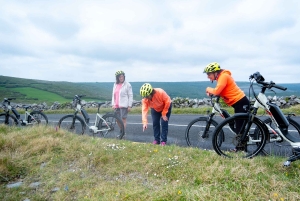 Kilfenora: Burren small group E-Bike Tour with Guide
