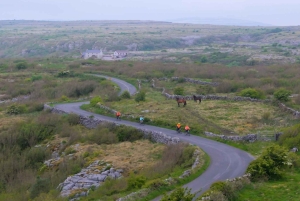 Kilfenora: Burren small group E-Bike Tour with Guide