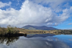 Killarney: Boat Tour to Innisfallen Island, Killarney Lakes