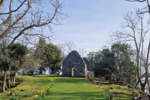 Killarney: Boat Tour to Innisfallen Island, Killarney Lakes