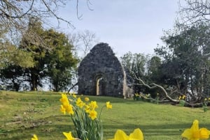Killarney: Boat Tour to Innisfallen Island, Killarney Lakes