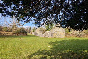 Killarney: Boat Tour to Innisfallen Island, Killarney Lakes