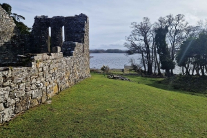 Killarney: Boat Tour to Innisfallen Island, Killarney Lakes