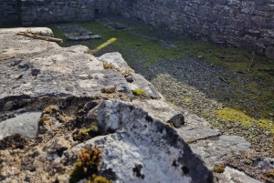 Killarney: Boat Tour to Innisfallen Island, Killarney Lakes