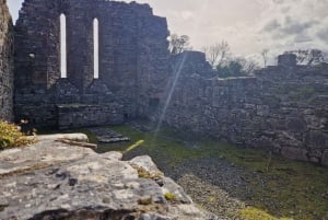 Killarney: Boat Tour to Innisfallen Island, Killarney Lakes