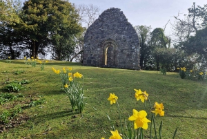 Killarney: Boat Tour to Innisfallen Island, Killarney Lakes