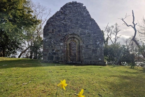 Killarney: Boat Tour to Innisfallen Island, Killarney Lakes