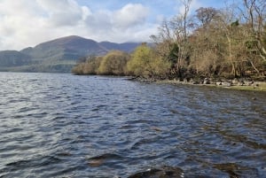 Killarney: Boat Tour to Innisfallen Island, Killarney Lakes