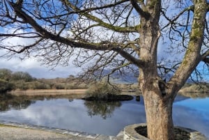 Killarney: Boat Tour to Innisfallen Island, Killarney Lakes