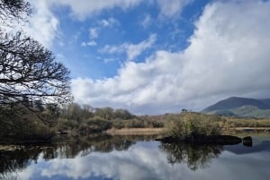 Killarney: Boat Tour to Innisfallen Island, Killarney Lakes
