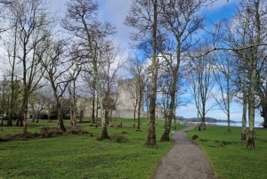 Killarney: Boat Tour to Innisfallen Island, Killarney Lakes
