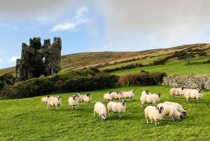 Killarney: Foto- och sightseeingtur till Dinglehalvön