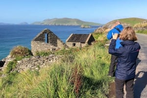 Killarney: Foto- og sightseeingtur til Dingle-halvøya
