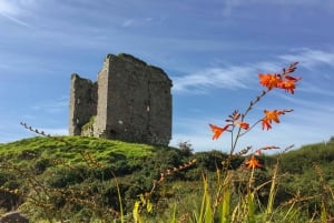 Killarney: Foto- og sightseeingtur til Dingle-halvøya