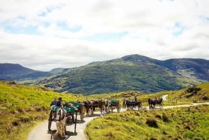 Killarney: Gap of Dunloe Pony, Trap & Traditionell båttur