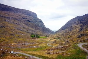 Killarney: Gap of Dunloe Pony, Trap & traditionelle Bootstour