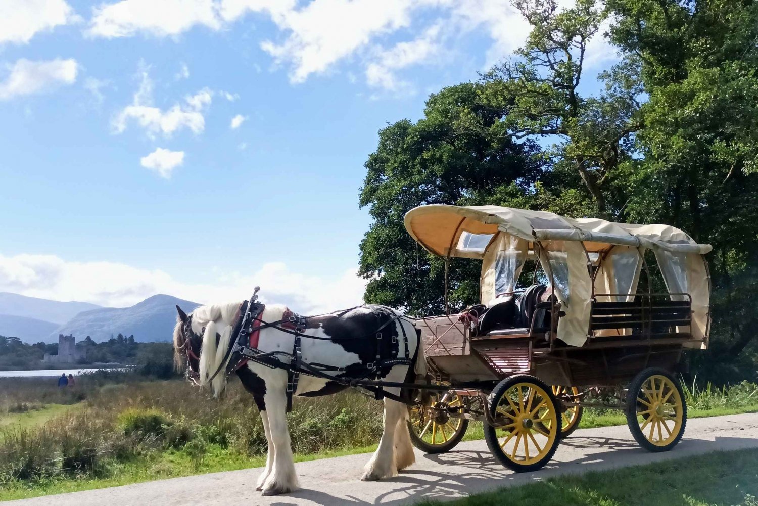 Killarney: privétour door Killarney National Park