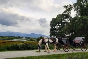 Killarney: Prywatna wycieczka do Parku Narodowego Killarney