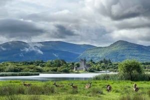 Killarney: Killarneyn kansallispuisto Yksityinen kierros