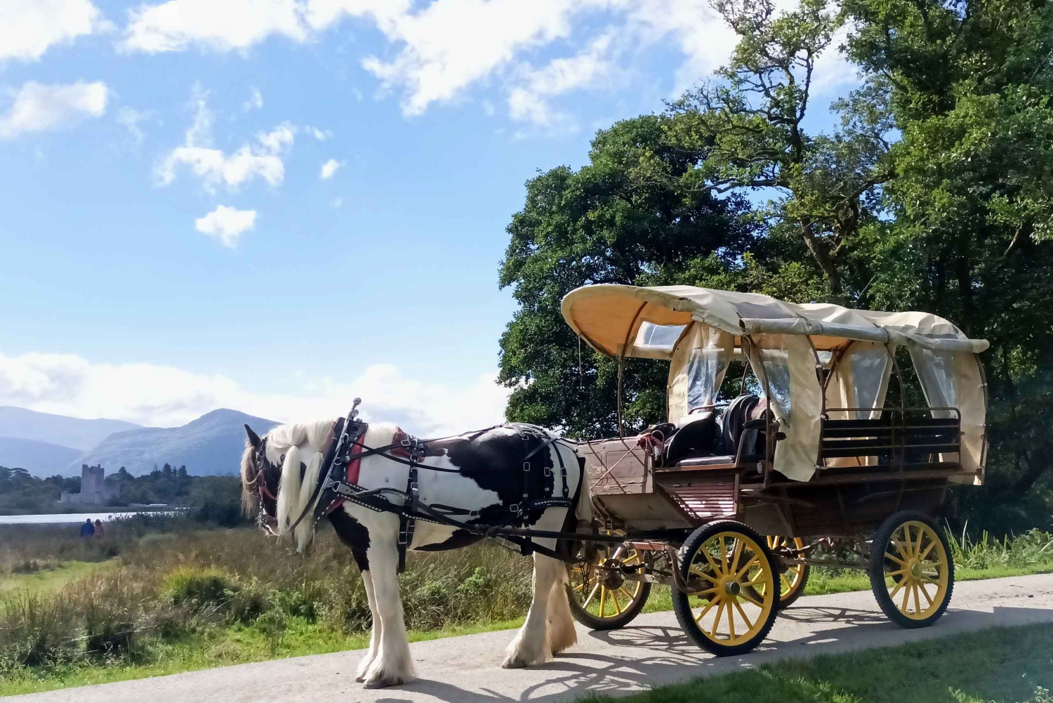 Tour privato del Parco Nazionale di Killarney
