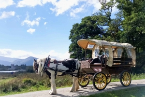 Killarney National Park Tour