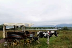 Killarney National Park Tour