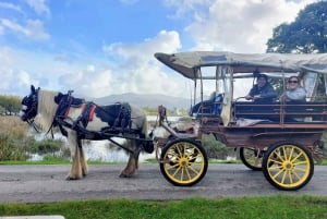 Killarney National Park Tour