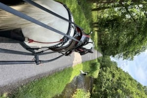 Killarney National Park Tour